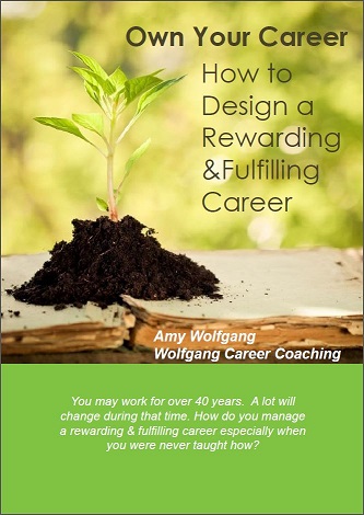 own your career how to design a rewarding and fulfilling career fulfilling careers