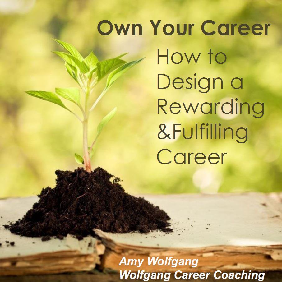 own your career how to design a rewarding and fulfilling career own your career how to design a rewarding and fulfilling career